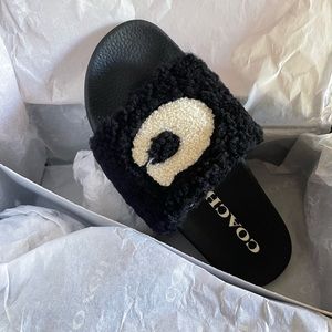 Coach slides